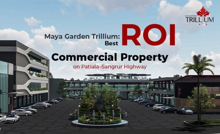 Best comerical property punjab